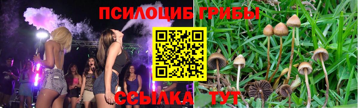 Галлюциногенные грибы GOLDEN TEACHER Торжок